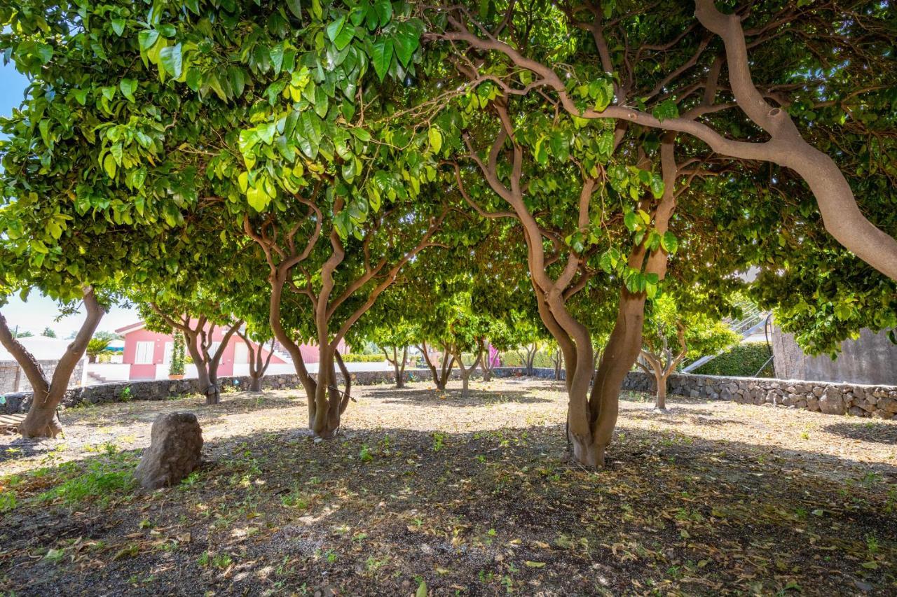 Dipladenia Garden Country Resort Mascali Eksteriør billede