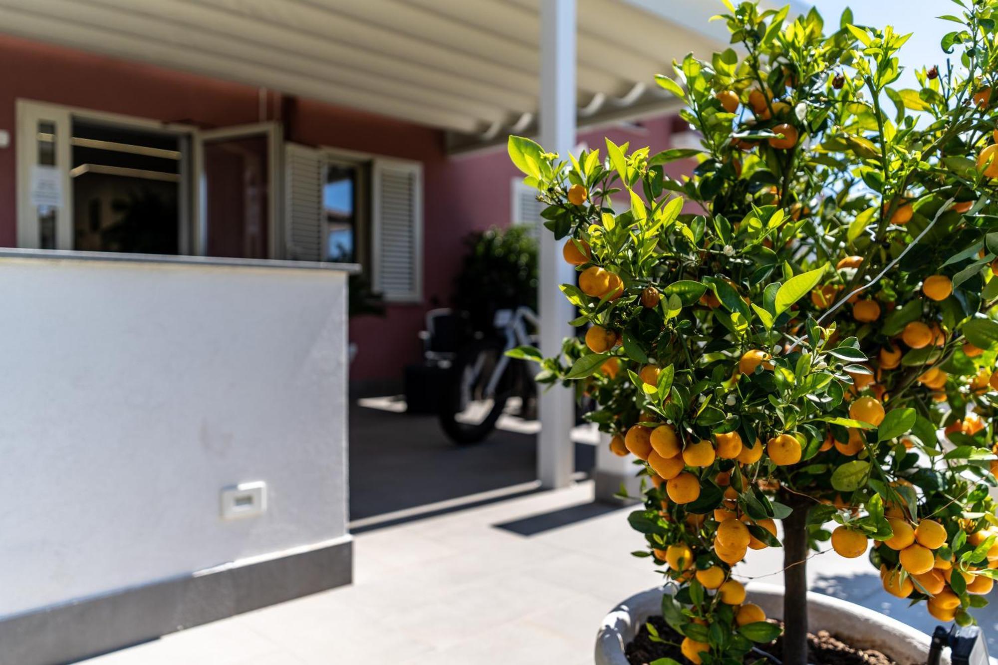 Dipladenia Garden Country Resort Mascali Eksteriør billede